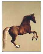 Whistlejacket by George Stubbs c1762